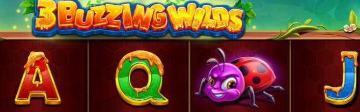 70bet reclame aqui