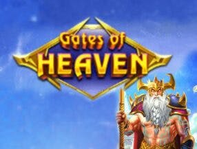 internet casino games